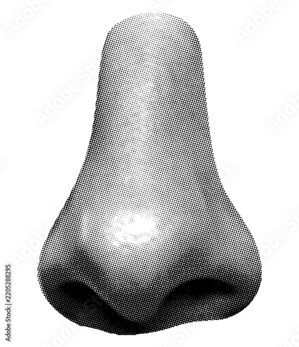 Human nose detail front view on transparent background