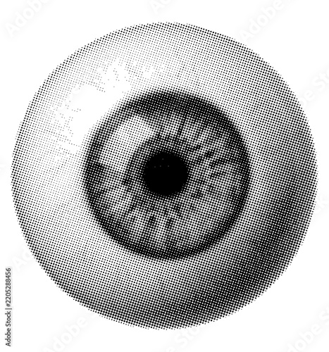 Human eyeball circle vintage detail on transparent background