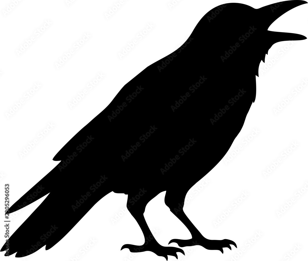Fototapeta premium Cawing Crow Silhouette Vector Illustration 