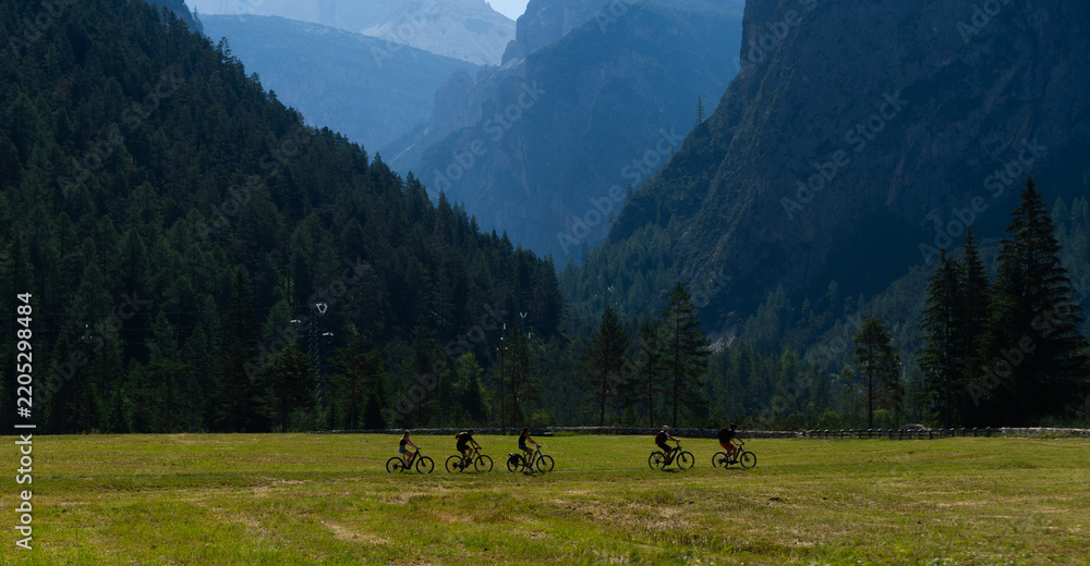 Obraz premium Idyllic mountain landscape in the Alps with blooming meadows in springtime