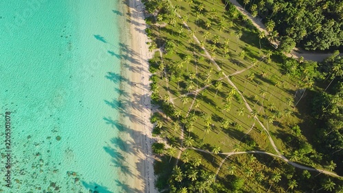 Aerial view of a tropical beach with turquoise water, white sand, and a dense grove of palm trees casting long shadows in Moorea-Maiao, Windward Islands, French Polynesia.