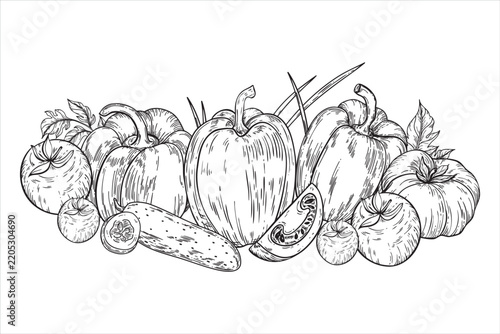 A detailed vector graphic composition of various vegetables including bell peppers, tomatoes, cucumbers, and onions arranged artistically. Template for a vegetable product label.