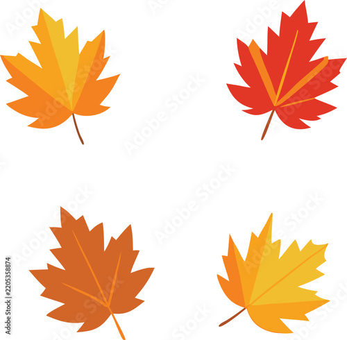Maple Leaf colorful vector