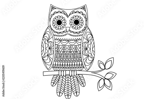 Detailed black and white owl perched on a branch