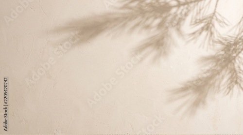 Soft pine branch shadow on beige textured wall