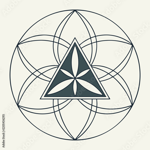 Geometric mandala graphic with a central triangle and floral pattern elements