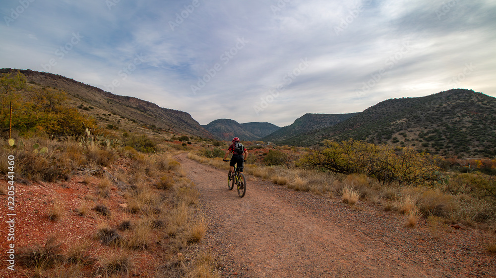Obraz premium Wide Ratio View Of Mountain Biker Riding Bell Trail Sedona AZ