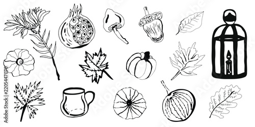 Autumn hand drawn doodles. Hand drawn autumn doodle set featuring pumpkins, acorns, mushrooms, leaves, pomegranate, a lantern, and a mug in a clean black line art style. 
