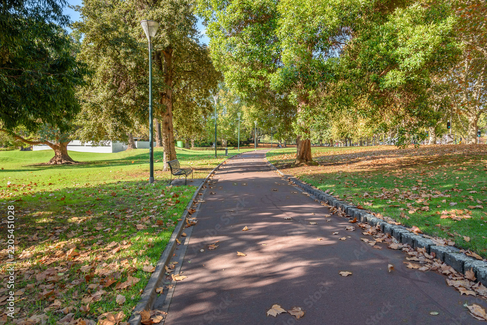 Obraz premium Deserted footpath lined with street lights and benches in a park dotted with large trees on a sunny autumn day