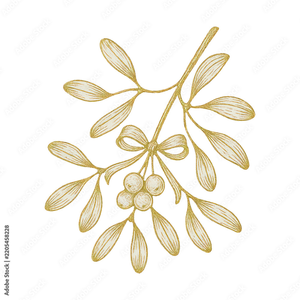 Obraz premium PNG Elegant golden mistletoe illustration.