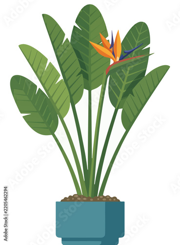 Flat design of tropical plants for nature-themed decoration and backgrounds.
