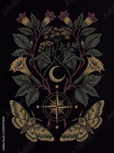 Decorative Botanical Illustration with Moths Trumpet Flowers and Crescent Moon