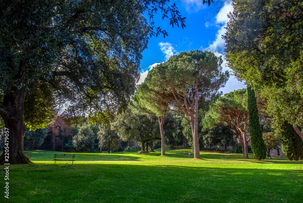 Obraz premium Amazing park by villa Lante
