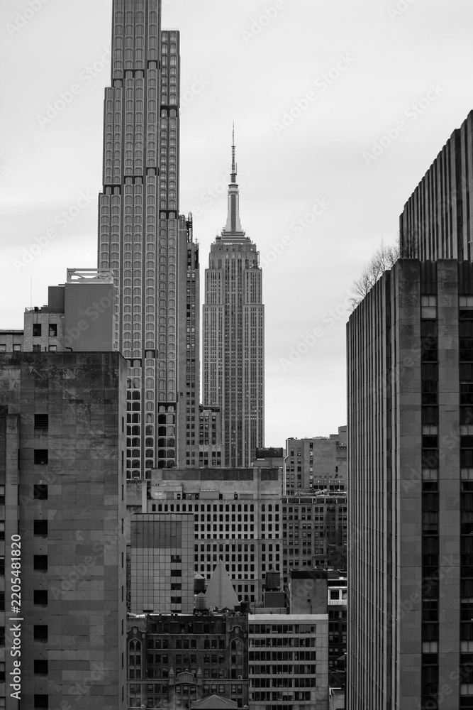 Fototapeta premium Empire State Building - Black and White