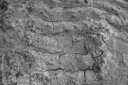 Gray clayey soil dries out and cracks. Natural background with black cracks, close-up