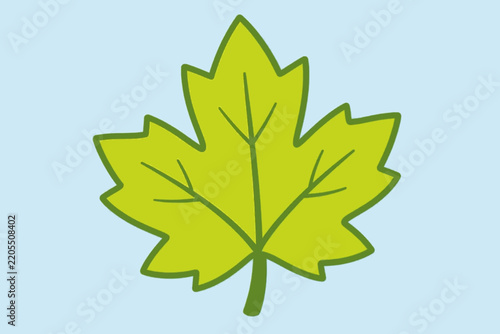 green maple leaf