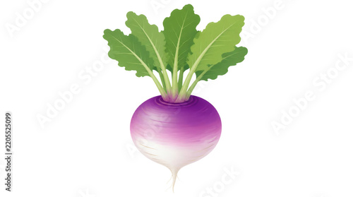 Stylized Flat Design Illustration of a Single Turnip Vegetable with Green Leaves