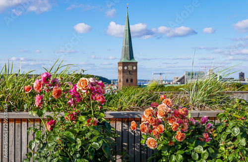 View of the iconic tower and spire of the Aarhus Cathedral located in Aarhus, Denmark, with colorful flowers in the foreground. 