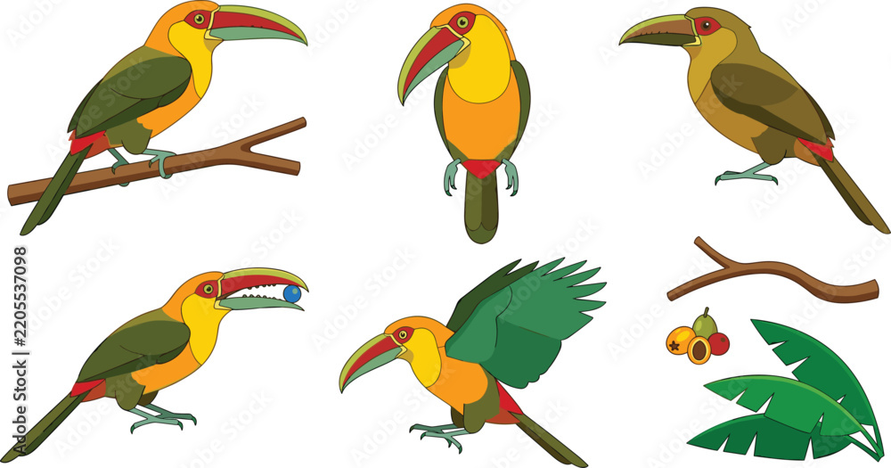 Fototapeta premium Exotic Green Toucan Bird Vector Character Set with Tropical Tree Branches Leaves and Berries for Wildlife Conservation Graphic Design