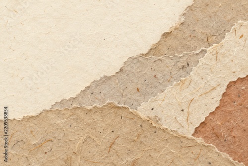 Torn Paper Layers with Fibrous Texture in Neutral Colors