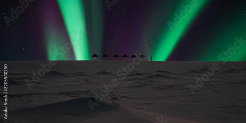 aurora borealis over the mountains