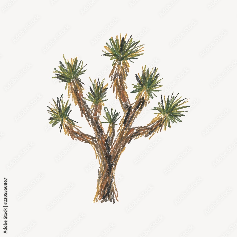 Obraz premium Hand-drawn desert tree with spiky green leaves on a white background