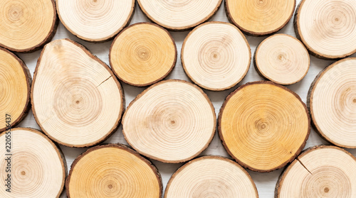Top view of natural round wooden discs arranged as a textured background.