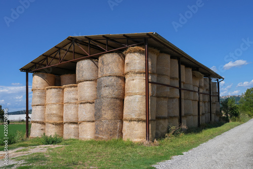 Round hay bales stacked inside open barn in rural countryside, storage facility for agriculture farming, slatted walls of rustic barn, sunny blue sky
