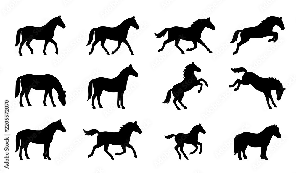 Obraz premium Brown Horse Breed and Foal Vector Collection with Grazing Walking and Standing Poses
