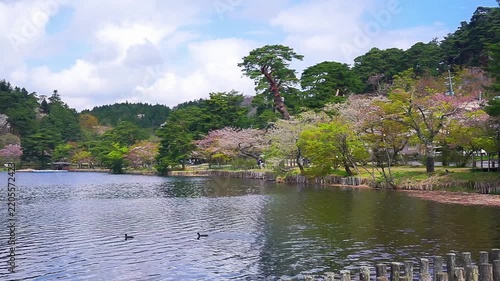 4K Tranquil Lake Surrounded by Lush Green Trees and Spring Blossoms with Reflections on Calm Water