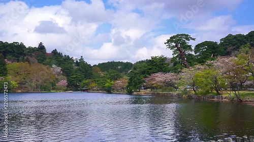 4K Tranquil Lake Surrounded by Lush Green Trees and Spring Blossoms with Reflections on Calm Water