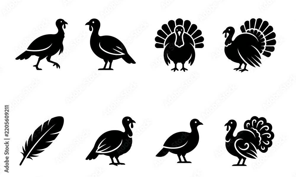 Obraz premium Collection of black silhouette turkey icons and a single feather illustration