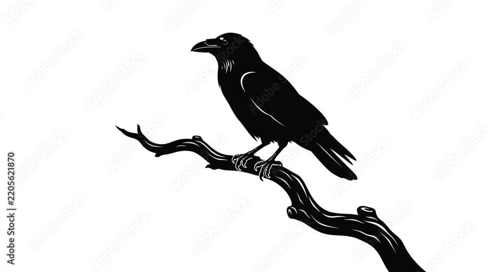 Fototapeta premium Black raven vector illustration perches on a curved tree branch, showcasing clean lines and minimalist design elements