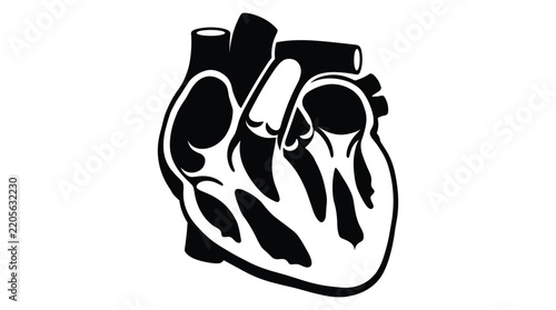 Obraz na plátně A black silhouette of a human heart displays anatomical details against a white