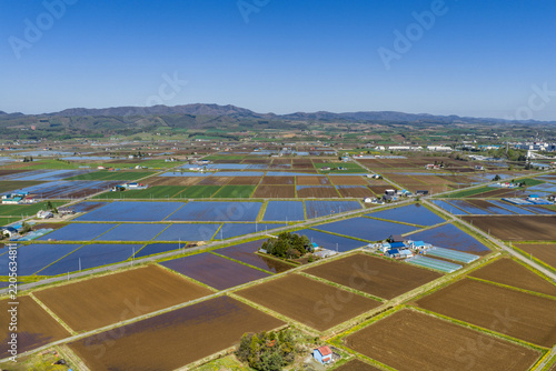 Aerial view of flooded rice paddies and agricultural fields in the rural landscape under a clear blue sky in Furano, Hokkaido, Japan.