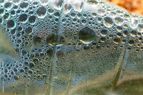 Фотография Close-up view of clear condensation droplets inside a discarded plastic bottle,