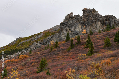 Autumn colors in Denali National Park, Alaska.