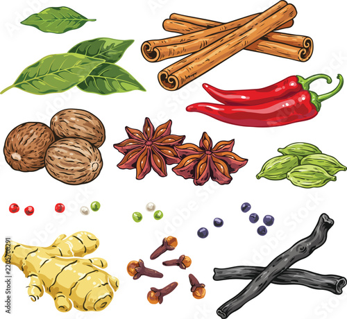 A beautiful collection of natural aromatic spices and fresh herbs essential for enhancing diverse culinary dishes