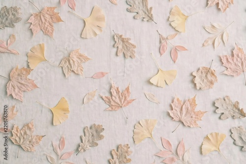 Autumn Leaves Pattern Pastel Colors Textured Background.