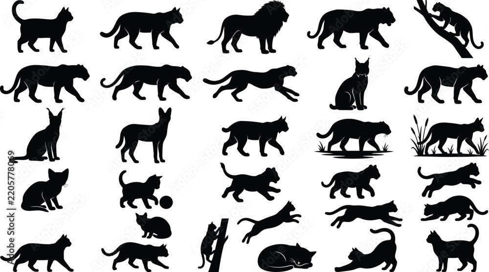 Fototapeta premium Black silhouettes of cats and big cats walking running jumping