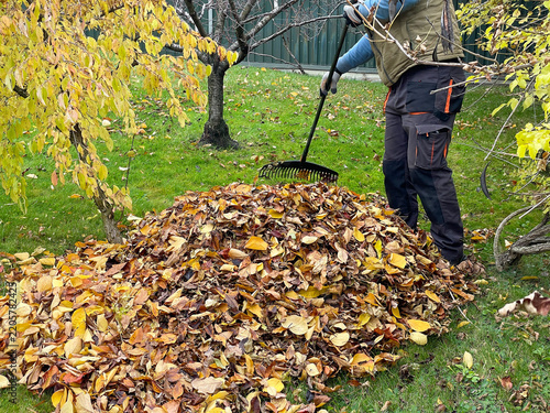 Person Raking Large Pile of Autumn Leaves