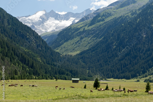 Wildgerlostal in Österreich mit Gletscher