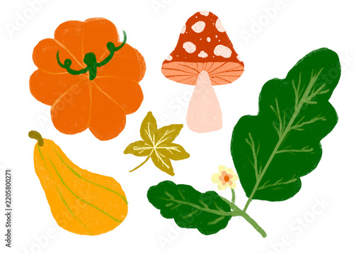 Autumn Botanical Collection with Pumpkin Mushroom and Leaves