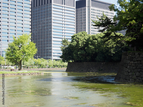 皇居の堀端に広がる静かな水辺とビルの風景