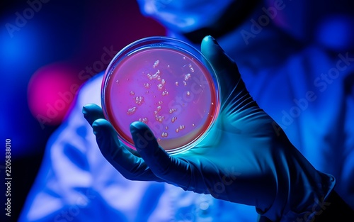 Scientist wearing gloves and lab coat holding petri dish with bacterial colonies under blue and pink laboratory light representing microbiology research and scientific analysis