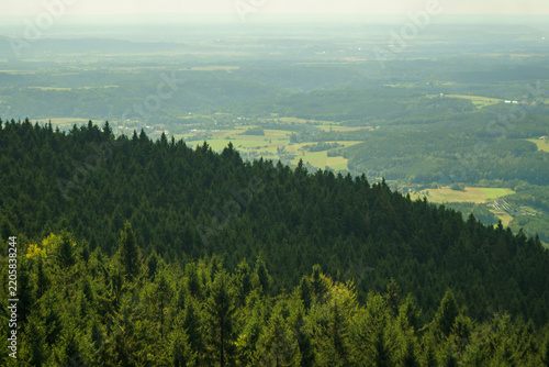 Scenic Aerial View of Coniferous Forest Hills in Bavaria Under Bright Daylight