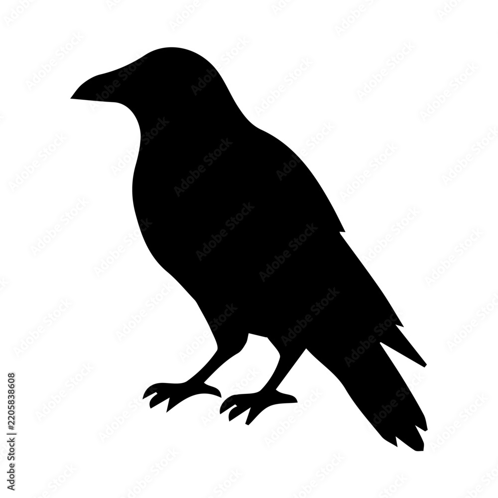 Fototapeta premium Black crow silhouette vector isolated on transparent background, perfect for minimalist designs, logos, greeting cards