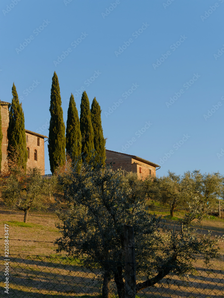Obraz premium beautiful view of the countryside around siena in tuscany