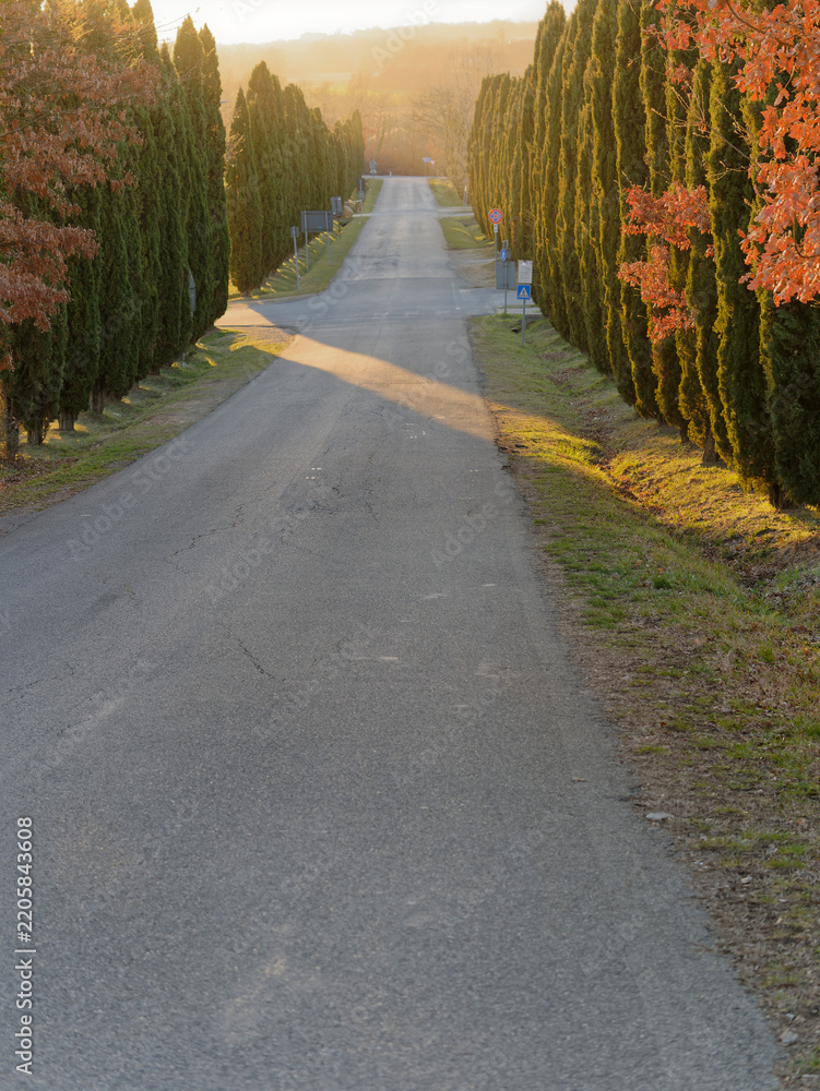 Obraz premium beautiful view of the countryside around siena in tuscany