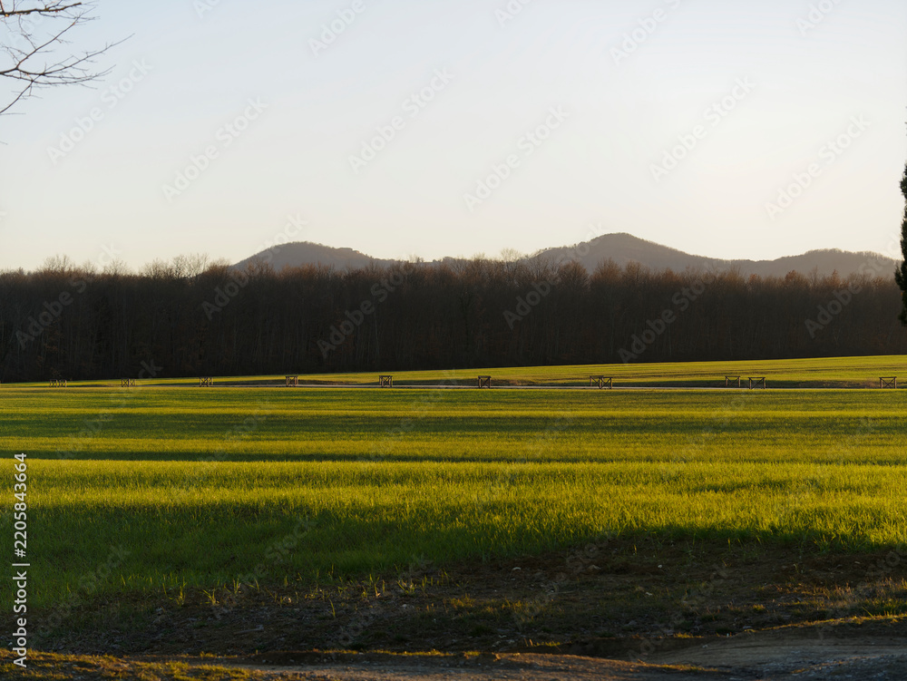 Fototapeta premium beautiful view of the countryside around siena in tuscany